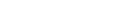 Wort-Bild-Logo von Wittmann Digital Consulting in weiss